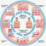 Clomid protocol after sintol cycle